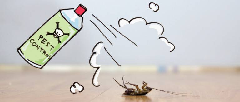 طرق مكافحة الحشرات المنزلية دون مبيدات